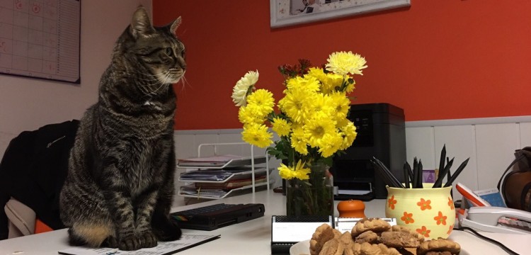 Vesti iz &scaron;kole - obuke su u toku, a mi smo iza&scaron;li iz učionica i aktivirali online učenje