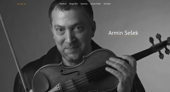 Armin Se&scaron;ek, prezentacija profesora violine.