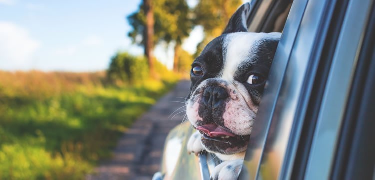 Nije na&scaron;a kuca - imamo DVA NOVA kursa!