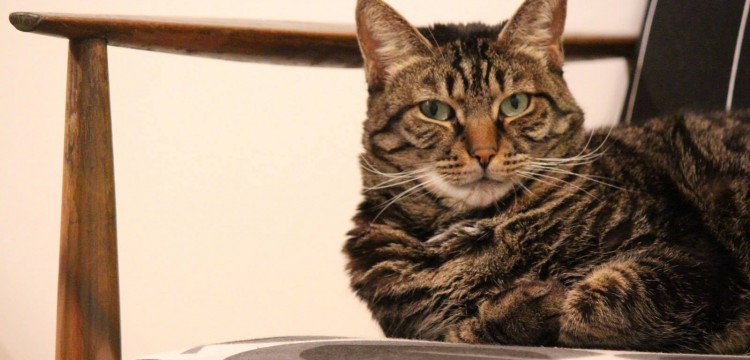 Sveže je. Ne mislimo na temperaturu. Kod nas je ne&scaron;to sveže. 