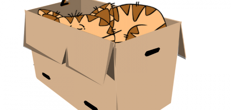 Kako da uči&scaron; kada si umoran?