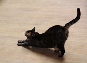 &Scaron;kola i učenici